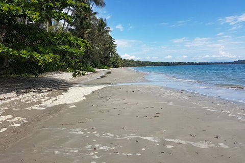 Private Transfers - Cairns Airport To Palm Cove - Tourism TAS 1