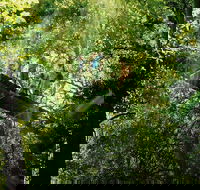 OReillys Rainforest Retreat and Winery Day Tour from Nerang - Hobart Tourism