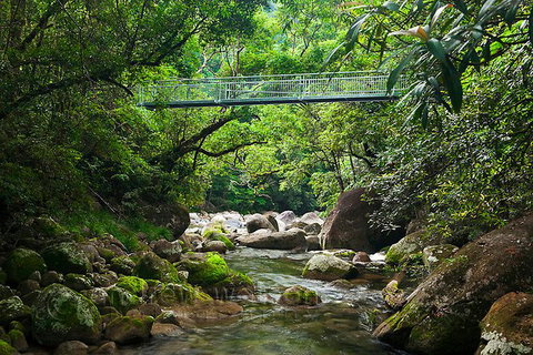 SHUTTLE - Mossman Gorge & Cooya Beach From Port Douglas (Return Transfer) - Tourism TAS 4