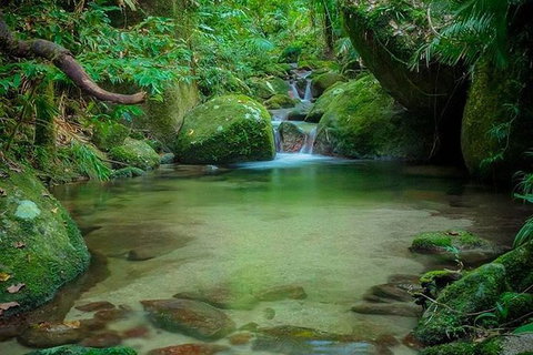 SHUTTLE - Mossman Gorge & Cooya Beach From Port Douglas (Return Transfer) - Tourism TAS 2