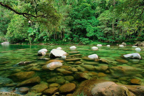 SHUTTLE - Mossman Gorge & Cooya Beach From Port Douglas (Return Transfer) - Tourism TAS 3