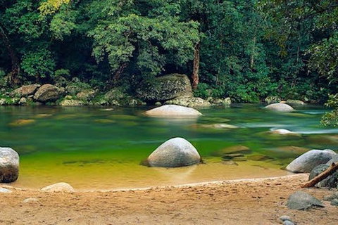 SHUTTLE - Mossman Gorge & Cooya Beach From Port Douglas (Return Transfer) - Tourism TAS 1