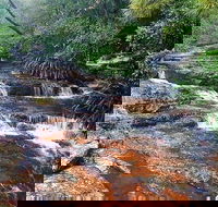 Springbrook Full Day Tour - Hobart Tourism