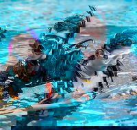 PADI Diving Courses on the Gold Coast - Hobart Tourism