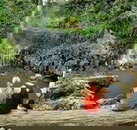 Private Half-Day Springbrook National Park Eco Tour - Up to 6 people - Hobart Tourism
