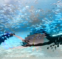 Exciting Gold Coast Diving Excursions - Hobart Tourism