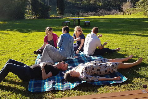 Mt Tamborine - Hinterland Wonders Self Guided - Hobart Tourism 1