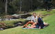 Mt Tamborine - Hinterland Wonders Self Guided - thumb 0