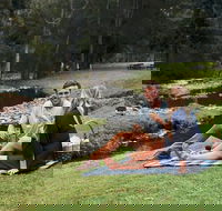 Mt Tamborine - Hinterland Wonders Self Guided - Hobart Tourism