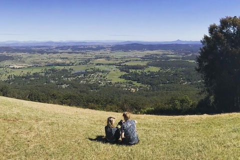 Mt Tamborine - Hinterland Wonders Self Guided - Hobart Tourism 2