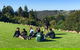 Mt Tamborine - Hinterland Wonders Self Guided - thumb 7