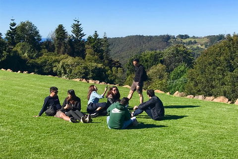 Mt Tamborine - Hinterland Wonders Self Guided - Hobart Tourism 7