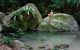 Mossman Gorge Adventure Day - thumb 6