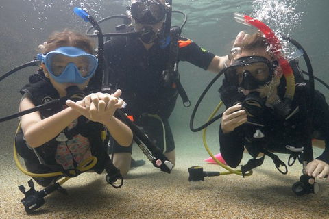 Scuba Kids- Padi Bubblemaker Course - Tourism TAS 4