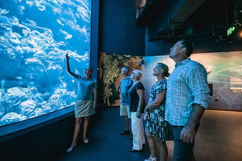 Cairns Aquarium By Twilight With 3 Course Dinner - Tourism TAS 0