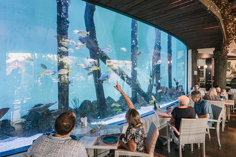 Cairns Aquarium Tour By Twilight With Drink And Appetiser - Tourism TAS 1