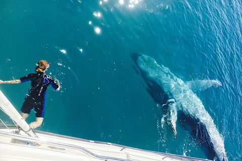 Remote Fraser Island & Whale Experience - Tourism TAS 4