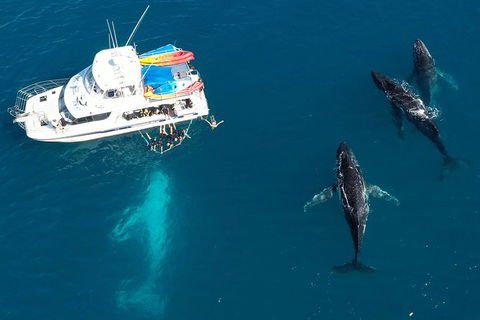 Remote Fraser Island & Whale Experience - Tourism TAS 3