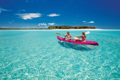 Remote Fraser Island & Whale Experience - Tourism TAS 5