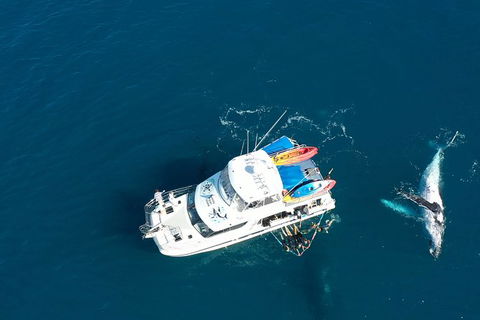 Remote Fraser Island & Whale Experience - Tourism TAS 1