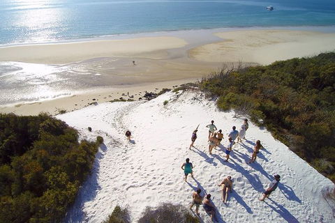 Remote Fraser Island & Whale Experience - Tourism TAS 2