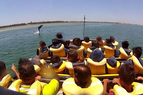 Express Jet Boat Ride + Aquaduck - Hobart Tourism 3