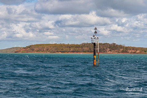 Sandy Straits Scenic & Wildlife Cruise - Tourism TAS 6