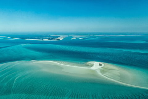 Sandy Straits Scenic & Wildlife Cruise - Tourism TAS 5