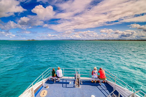 Sandy Straits Scenic & Wildlife Cruise - Tourism TAS 7