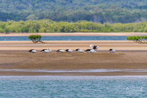 Sandy Straits Scenic & Wildlife Cruise - Tourism TAS 3