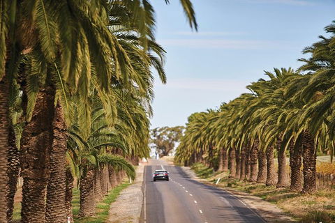 Barossa Valley Highlights From Barossa Valley Including Wine And Cheese Tasting - Hobart Tourism 2