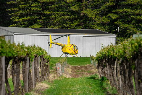 Barossa Valley Deluxe: 30-Minute Helicopter Flight - Hobart Tourism 3