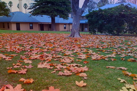 Barossa Private Wine Tour - Hobart Tourism 1