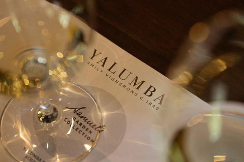 Yalumba Unlocked - Hobart Tourism 3