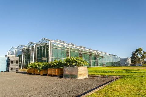 Yalumba Nursery & Grenache Discovery Tour + Platter Lunch - Hobart Tourism 5