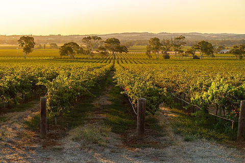 Yalumba Signature Tour - Hobart Tourism 5
