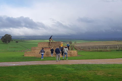 Private Wine Tour - Hobart Tourism 4
