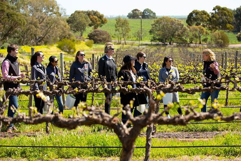 Walk, Taste, Graze - Experience At Pindarie - Hobart Tourism 2