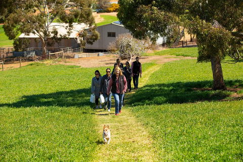 Walk, Taste, Graze - Experience At Pindarie - Hobart Tourism 7