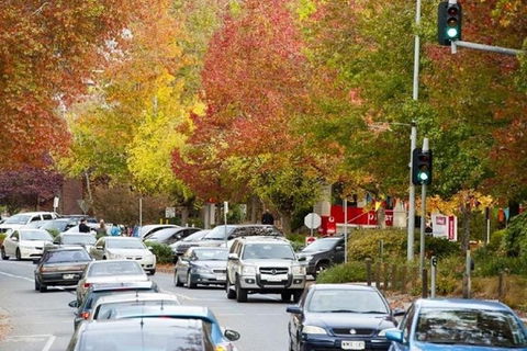 Adelaide Hills Full Day Winery Tour With Tastings - Tourism TAS 3
