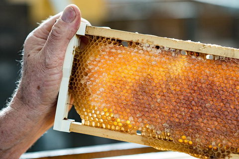 Fine Flavours - Full Day Kangaroo Island Food & Wine Tour - Hobart Tourism 0