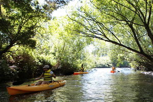 Paddle with the Platypus Twilight Kayak Adventure