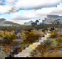 Cradle Mountain Day Tour - Hobart Tourism