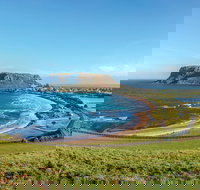 Cruise Ship Special from Burnie to Stanley and The Nut - Tourism TAS