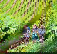 Tasmanian Wine Tour - Tourism TAS