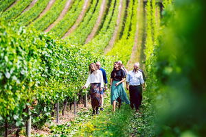Tasmanian Wine Tour