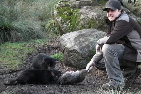 After Dark Tasmanian Devil Feeding Tour At Cradle Mountain - Tourism TAS 0