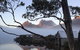 Cradle Mountain Park Explorer - thumb 7