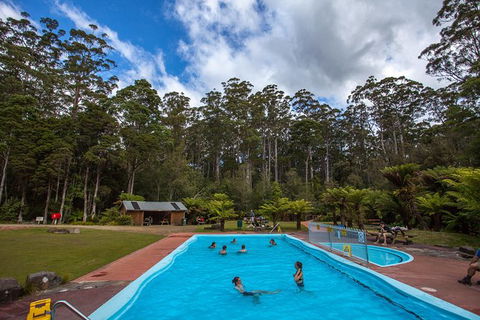 Tahune Airwalk Active Day Trip From Hobart Including Hastings Caves - Tourism TAS 2