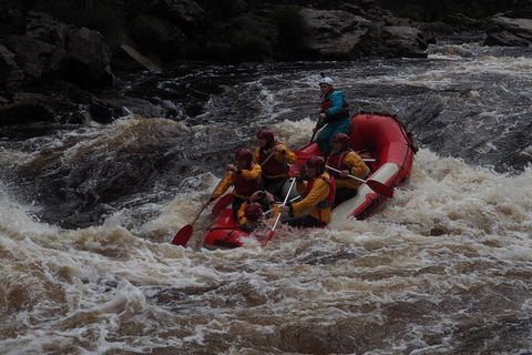 King River White Water Raft Journey From Queenstown With Lunch - Hobart Tourism 5